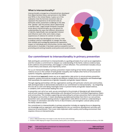 Intersectionality in Primary Prevention - Page 3